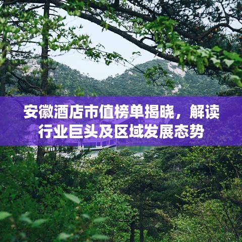 安徽酒店市值榜单揭晓，解读行业巨头及区域发展态势