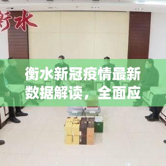 衡水新冠疫情最新数据解读，全面应对与策略分享