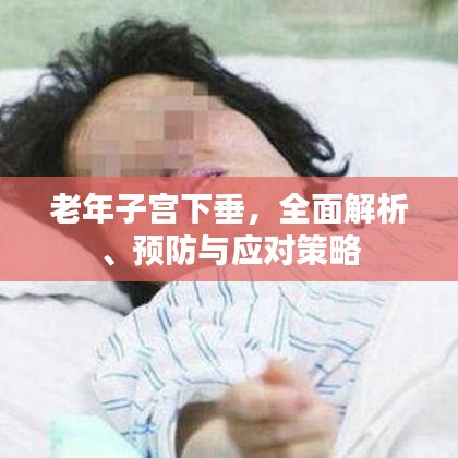 老年子宫下垂，全面解析、预防与应对策略