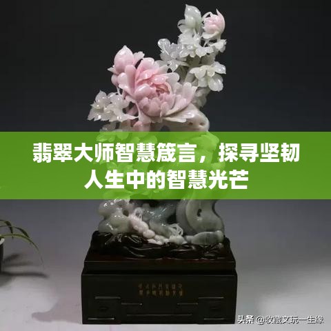 翡翠大师智慧箴言，探寻坚韧人生中的智慧光芒
