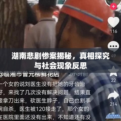 湖南悲剧惨案揭秘,真相探究与社会现象反思