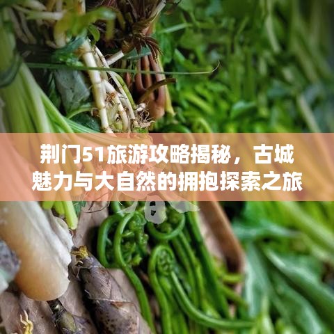 荆门51旅游攻略揭秘，古城魅力与大自然的拥抱探索之旅