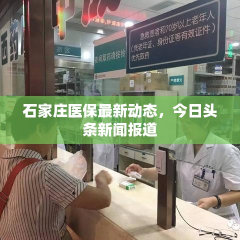 石家庄医保最新动态，今日头条新闻报道