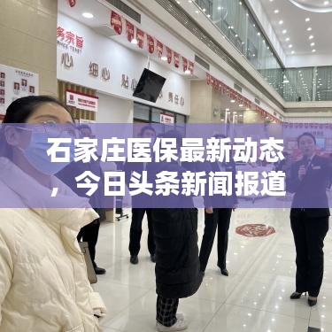 石家庄医保最新动态,今日头条新闻报道