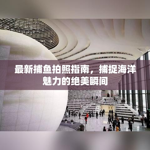 最新捕鱼拍照指南，捕捉海洋魅力的绝美瞬间
