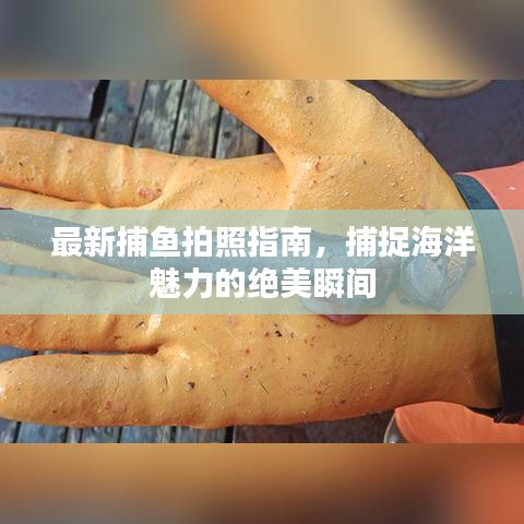 最新捕鱼拍照指南,捕捉海洋魅力的绝美瞬间
