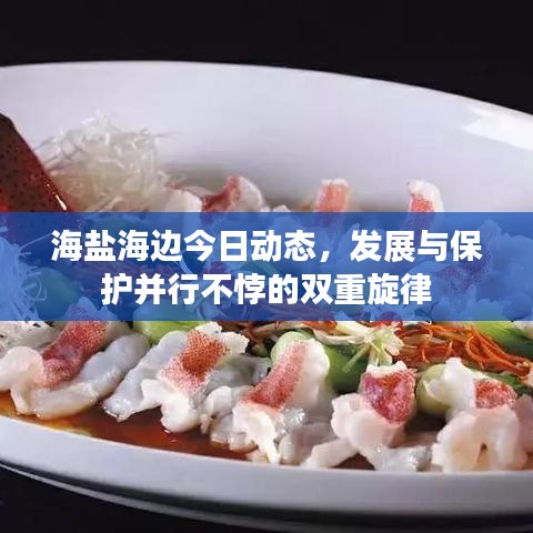 海盐海边今日动态，发展与保护并行不悖的双重旋律