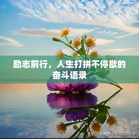 励志前行,人生打拼不停歇的奋斗语录