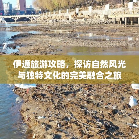 伊通旅游攻略，探访自然风光与独特文化的完美融合之旅