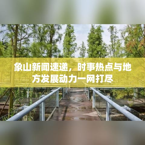 象山新闻速递，时事热点与地方发展动力一网打尽