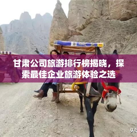甘肃公司旅游排行榜揭晓，探索最佳企业旅游体验之选