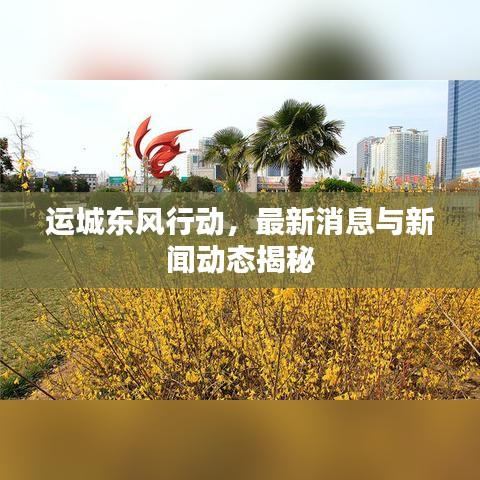 运城东风行动，最新消息与新闻动态揭秘