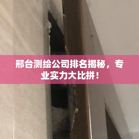 邢台测绘公司排名揭秘，专业实力大比拼！