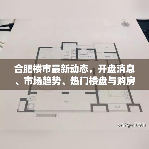 合肥楼市最新动态，开盘消息、市场趋势、热门楼盘与购房指南