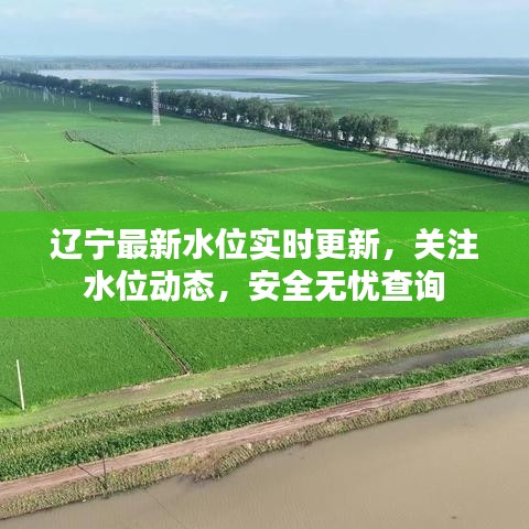 辽宁最新水位实时更新，关注水位动态，安全无忧查询