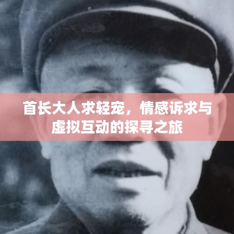 首长大人求轻宠，情感诉求与虚拟互动的探寻之旅