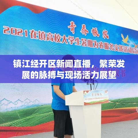 镇江经开区新闻直播,繁荣发展的脉搏与现场活力展望