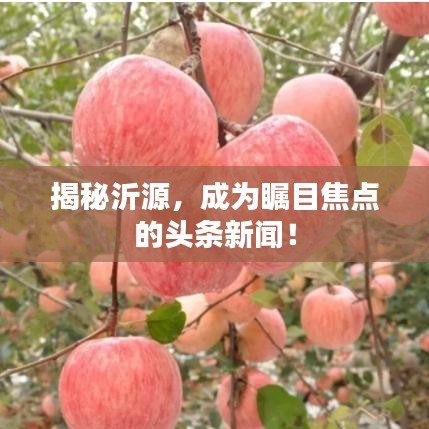 揭秘沂源，成为瞩目焦点的头条新闻！