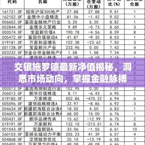 交银施罗德最新净值揭秘，洞悉市场动向，掌握金融脉搏