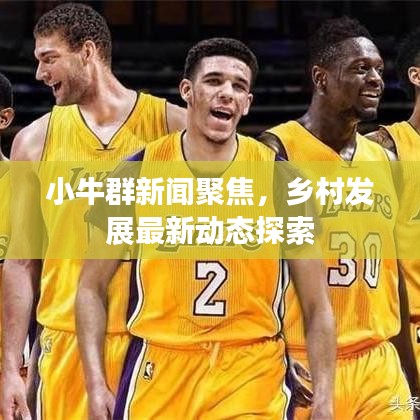 小牛群新闻聚焦，乡村发展最新动态探索