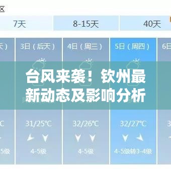 台风来袭！钦州最新动态及影响分析