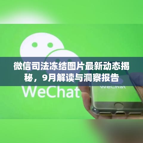 微信司法冻结图片最新动态揭秘，9月解读与洞察报告