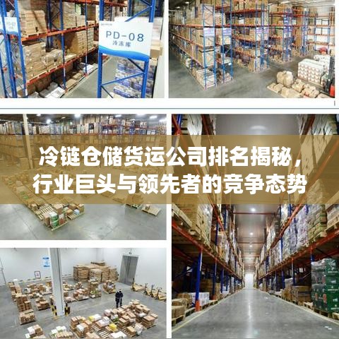 冷链仓储货运公司排名揭秘，行业巨头与领先者的竞争态势分析