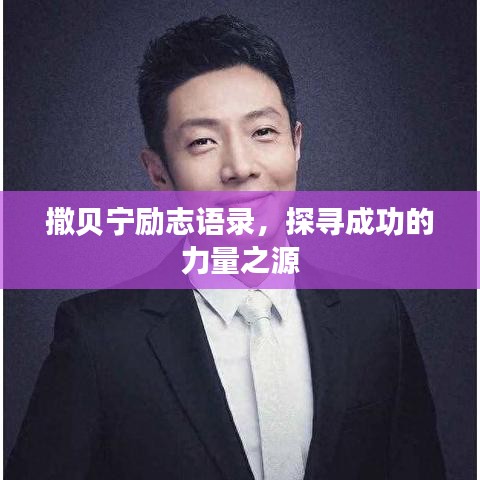 撒贝宁励志语录，探寻成功的力量之源