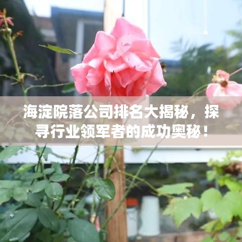 海淀院落公司排名大揭秘，探寻行业领军者的成功奥秘！