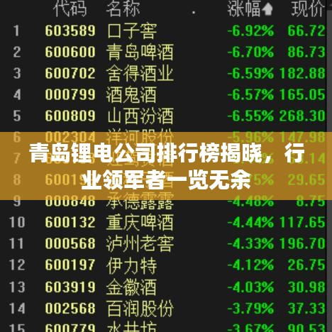 青岛锂电公司排行榜揭晓，行业领军者一览无余