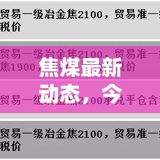 焦煤最新动态，今日资讯全掌握，最新消息一键查询