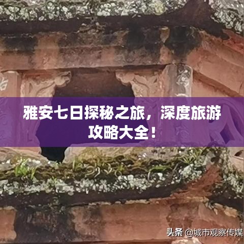 雅安七日探秘之旅，深度旅游攻略大全！