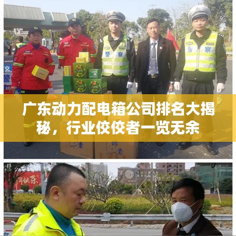 广东动力配电箱公司排名大揭秘，行业佼佼者一览无余