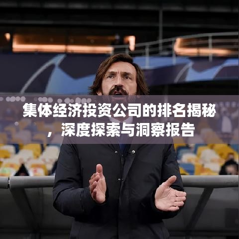 集体经济投资公司的排名揭秘，深度探索与洞察报告