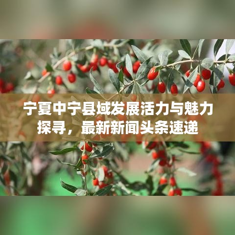 宁夏中宁县域发展活力与魅力探寻,最新新闻头条速递
