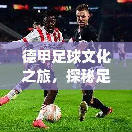 德甲足球文化之旅，探秘足球与文化的完美融合