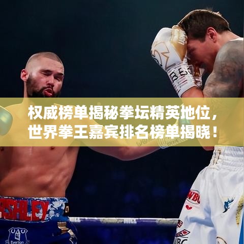 权威榜单揭秘拳坛精英地位，世界拳王嘉宾排名榜单揭晓！