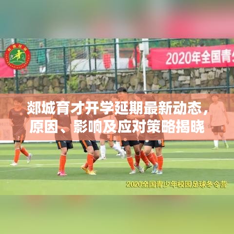 郯城育才开学延期最新动态，原因、影响及应对策略揭晓