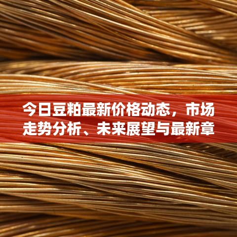 今日豆粕最新价格动态，市场走势分析、未来展望与最新章节价格概览