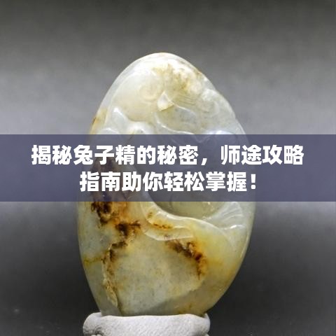 揭秘兔子精的秘密，师途攻略指南助你轻松掌握！