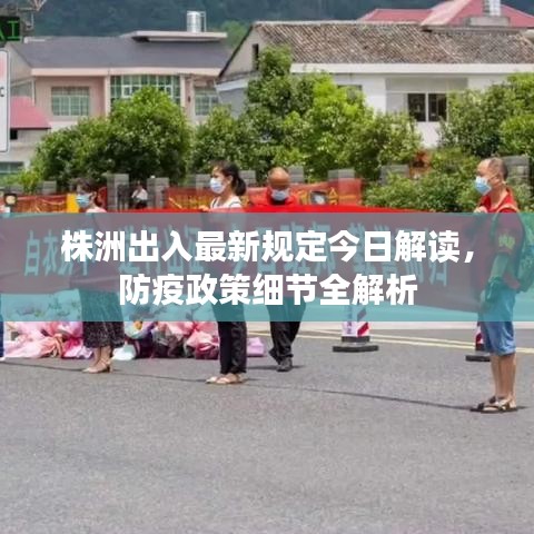 株洲出入最新规定今日解读，防疫政策细节全解析