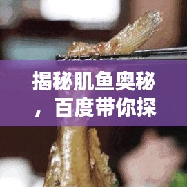 揭秘肌鱼奥秘,百度带你探索未知世界