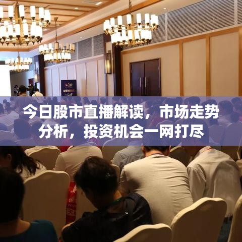 今日股市直播解读，市场走势分析，投资机会一网打尽