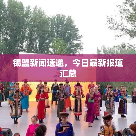 锡盟新闻速递，今日最新报道汇总