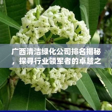 广西清洁绿化公司排名揭秘，探寻行业领军者的卓越之路