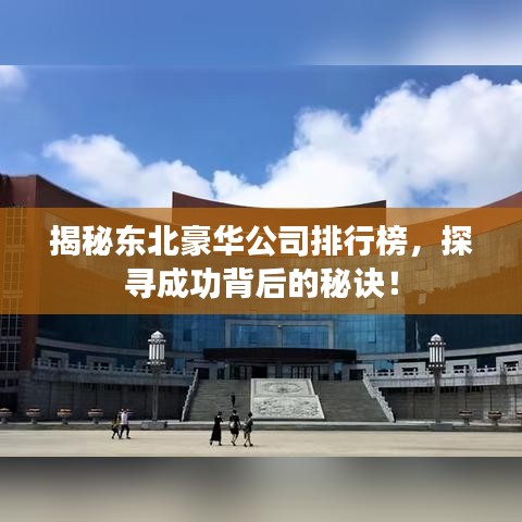 揭秘东北豪华公司排行榜，探寻成功背后的秘诀！
