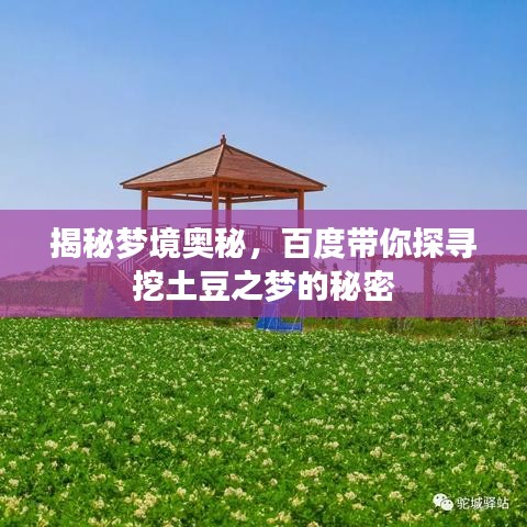 揭秘梦境奥秘，百度带你探寻挖土豆之梦的秘密