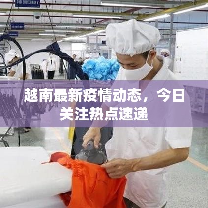 越南最新疫情动态，今日关注热点速递
