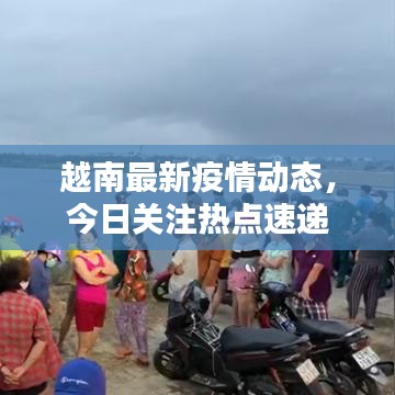 越南最新疫情动态,今日关注热点速递