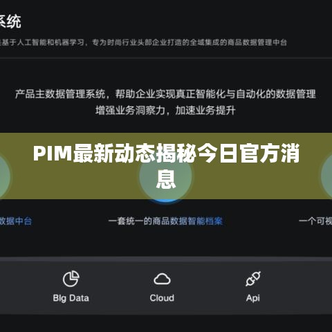 PIM最新动态揭秘今日官方消息
